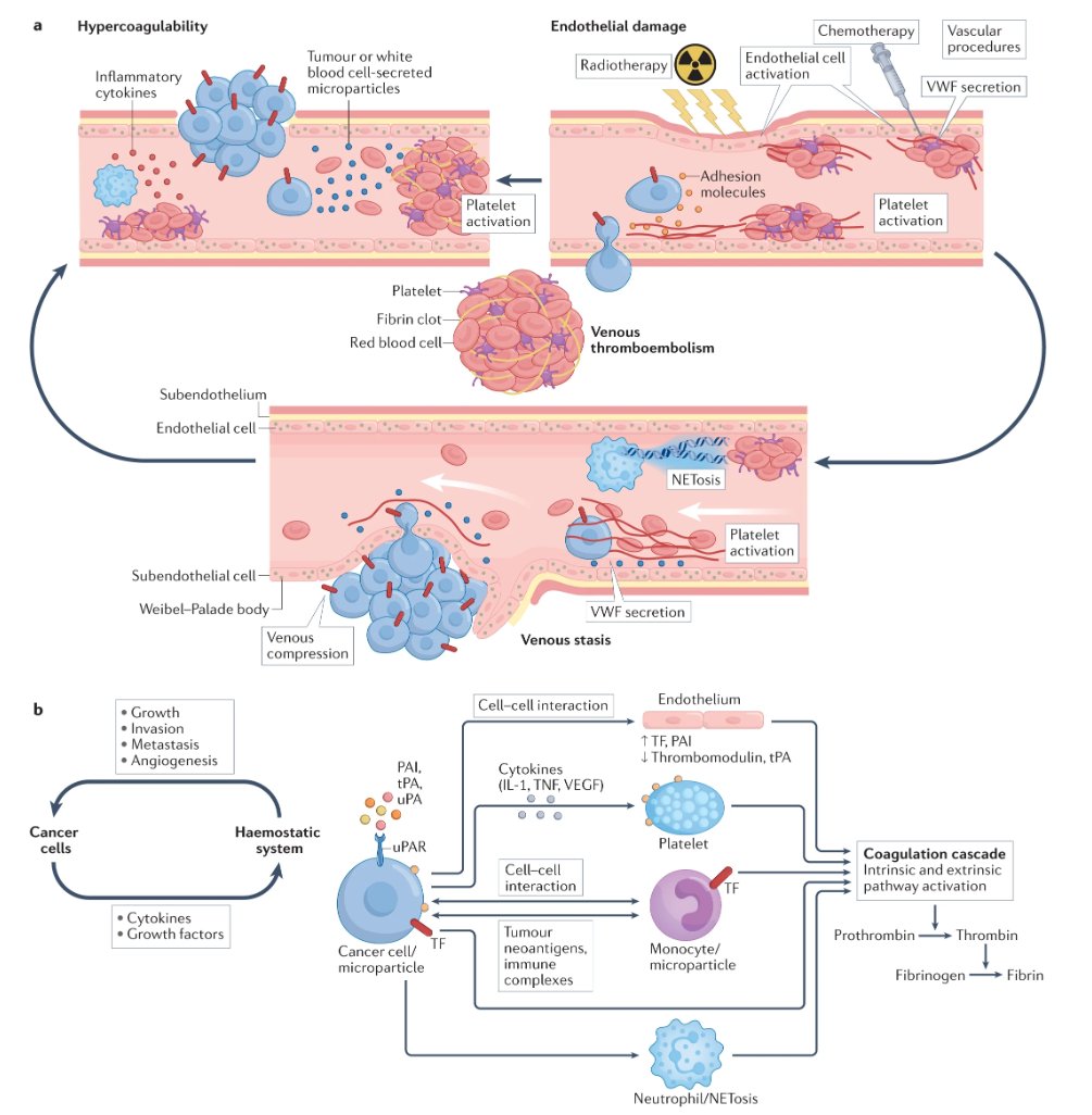 NatRevClinOncol tweet picture