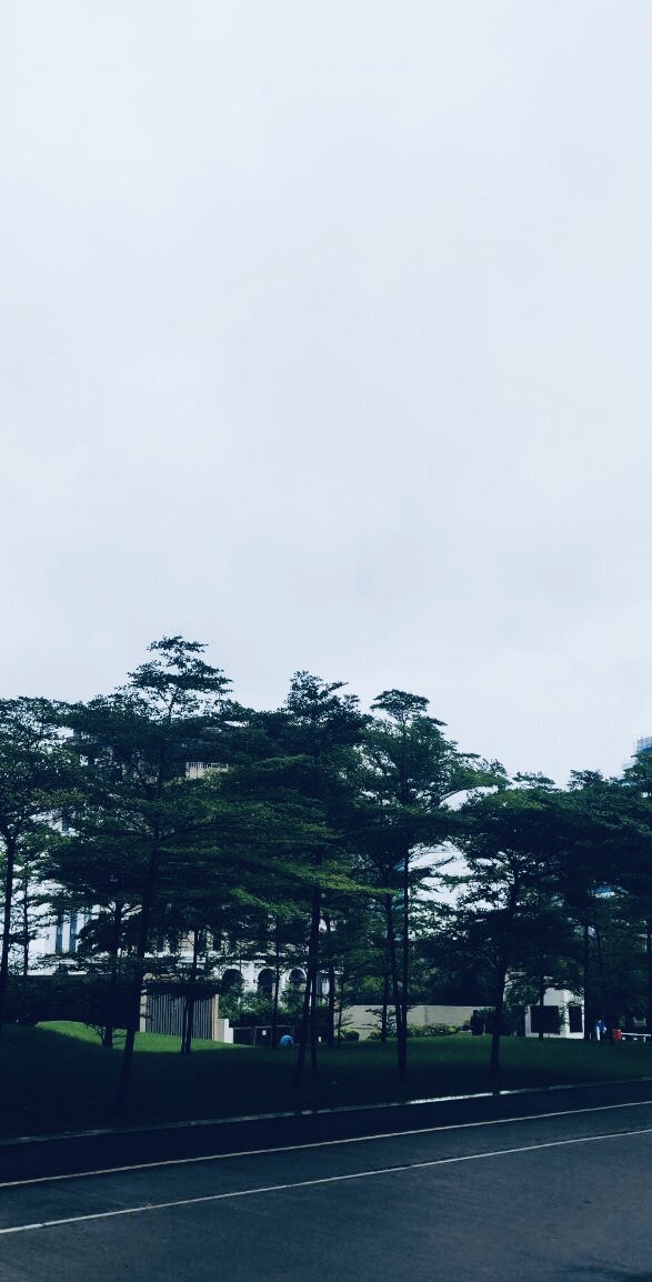 Roli_Mehra's tweet photo. When clouds comes floating only to make the morning more beautiful 🌧 Pitter patter of raindrops and FM playing the all time hit song 🎶 Driving to office can't be more beautiful than this 🌧️ #DelhiRains #Bliss #MondayMorning #NatureBeauty #Rains https://t.co/d8qoJGzmws