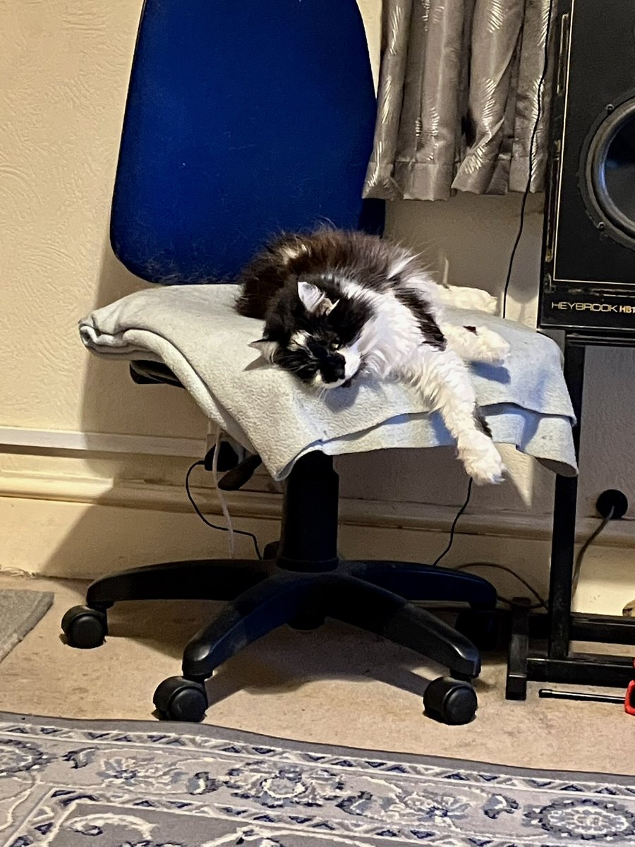 plant001's tweet photo. It’s a tough life. #twittercats #CatsOfTwitter #lazycat https://t.co/miGk1Wl36S