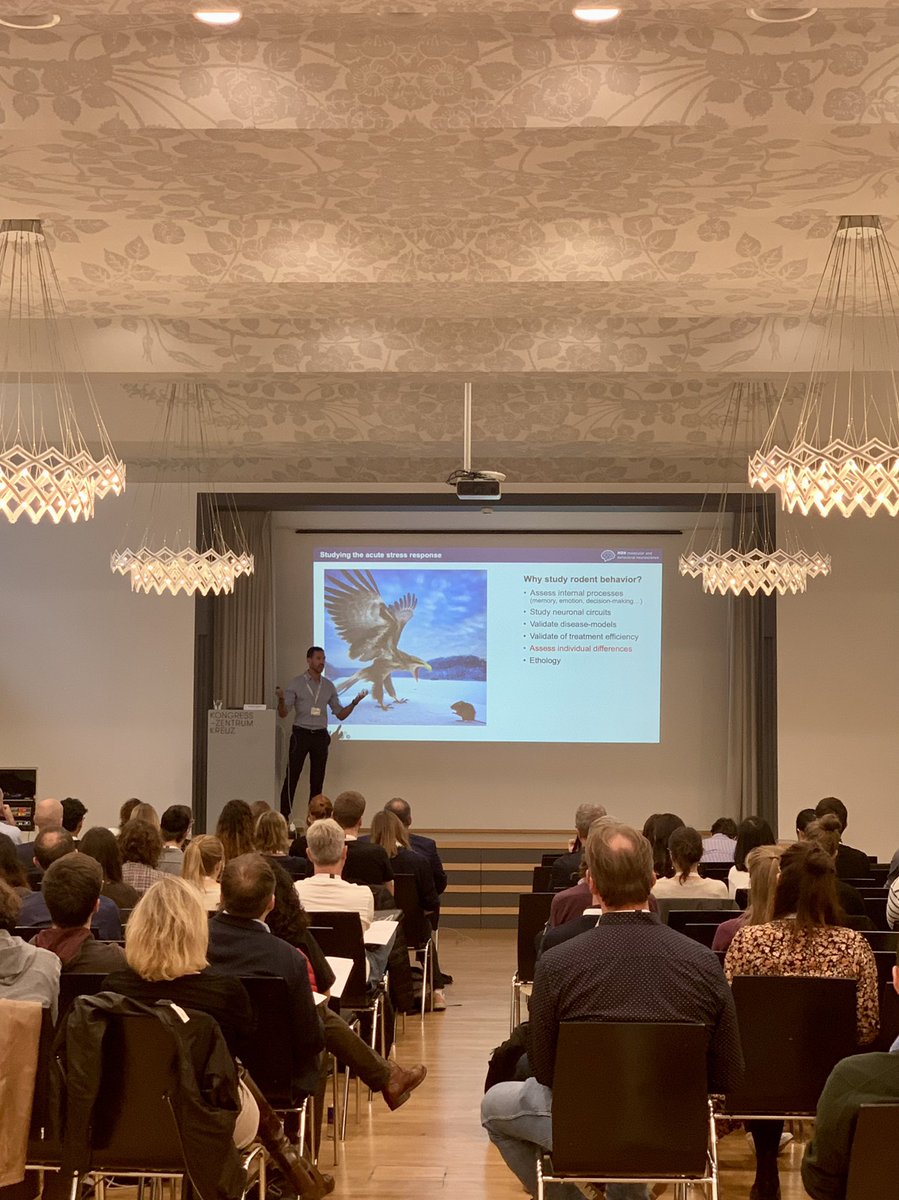 Swiss 3R Competence Centre (3RCC) tweet media