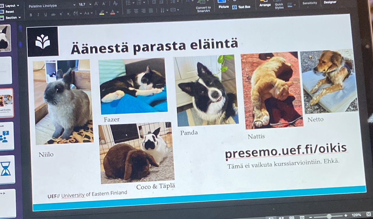 AuroraFifield's tweet photo. @SMielityinen @UEFLawSchool Meillä on viisaita opiskelijoita; hyvä maku runoudessa (voiko oodia kutsua runoksi? Sivistäkää minua) ja eläimissä 😉 Ja joo, kyllä me tehtiin kaikkea järkevääkin näitten höpöilyjen lisäks! https://t.co/5m45E4GTOQ