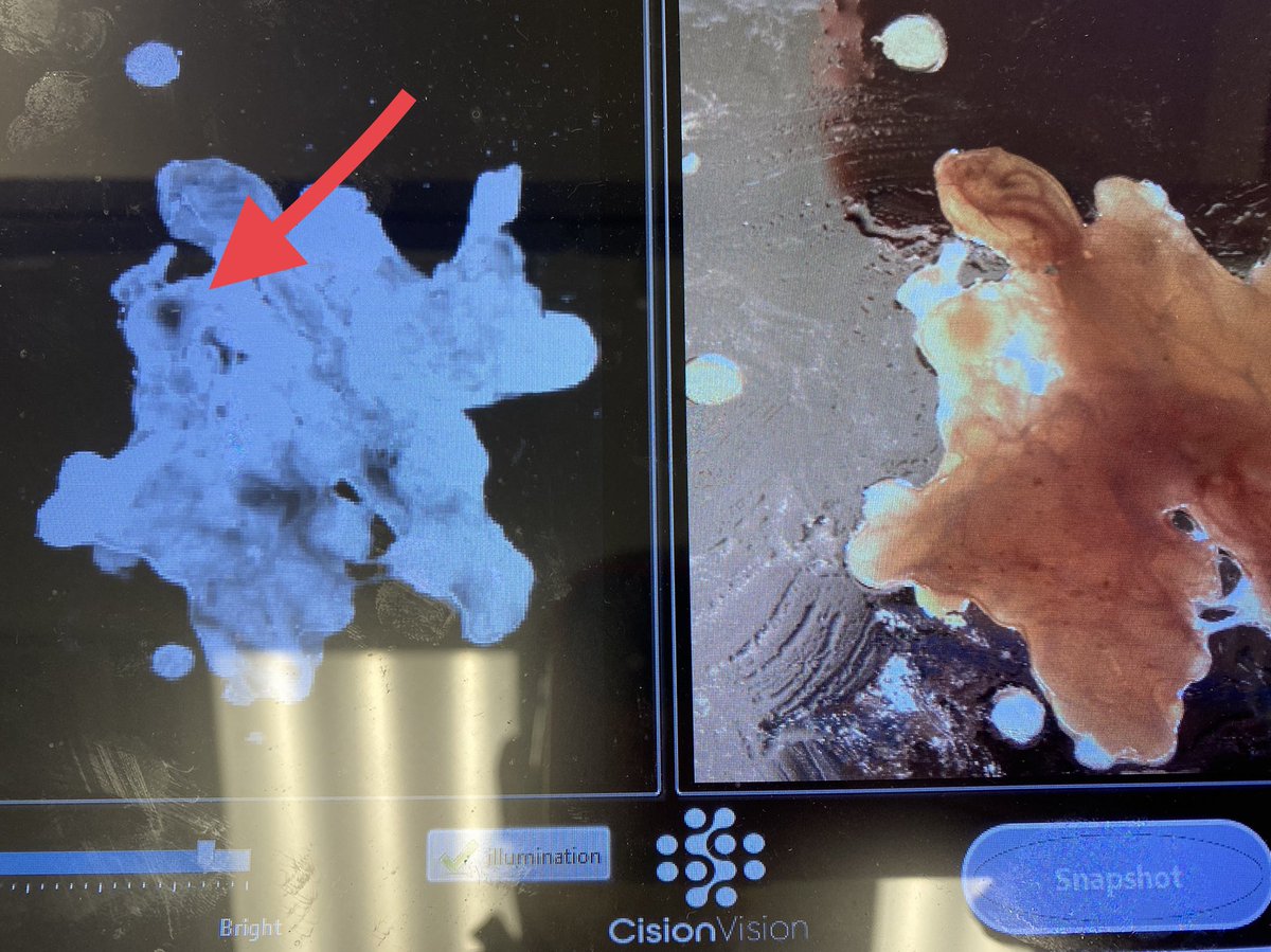 Dennis Strenk tweet media