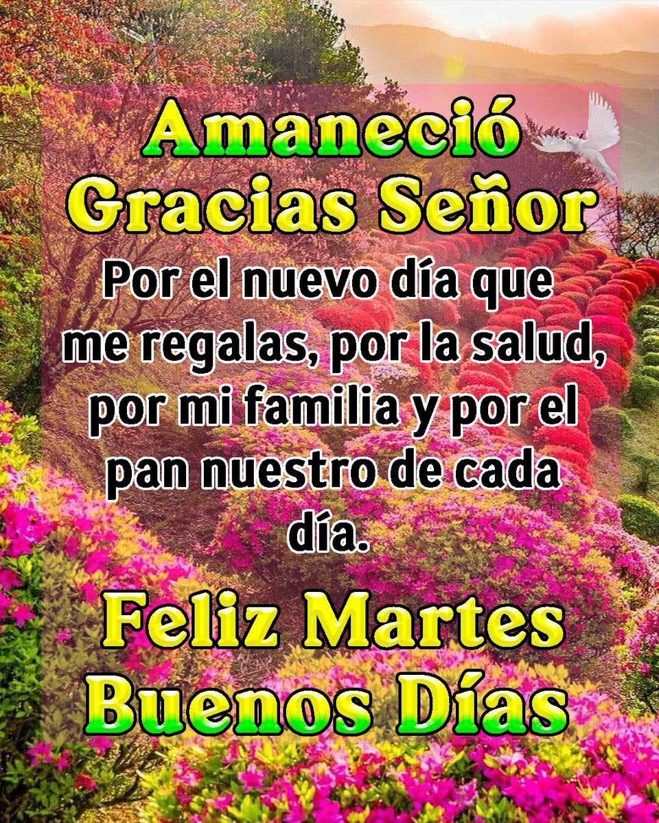chahamed26's tweet photo. Buenos dias patriotas Rebeldes: aquí stoy con mi morral, aguantando la pela y, luchando por mejorar la salud.....pero sin descuidar el frent d batalla....TOCA LUCHAR y punto https://t.co/wYIO7rmsnQ