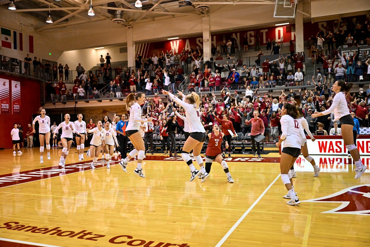 Vote for the #NCAAWVB Photo of the Week 📸

1️⃣ @Huskervball High-fives from the Huskers❤️
2️⃣ <a href="/OhioStateWVB/">Ohio State Women's Volleyball</a> Home court celly! 🤪
3️⃣ <a href="/JMUVolleyball/">JMU Volleyball</a> Pump it up! 😤
4️⃣ @WSUCougarVB Cougars run in packs🙌