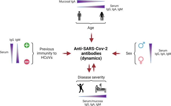 MucosalImmunol's tweet photo. When it comes to #HumoralImmunity and #SARSCoV2, are #Antibodies guilty or not guilty? Stephane Paul and colleagues @Inserm  review the humoral responses during Covid19: https://t.co/DwJfOJ3xer https://t.co/VRoBjNDQ2b