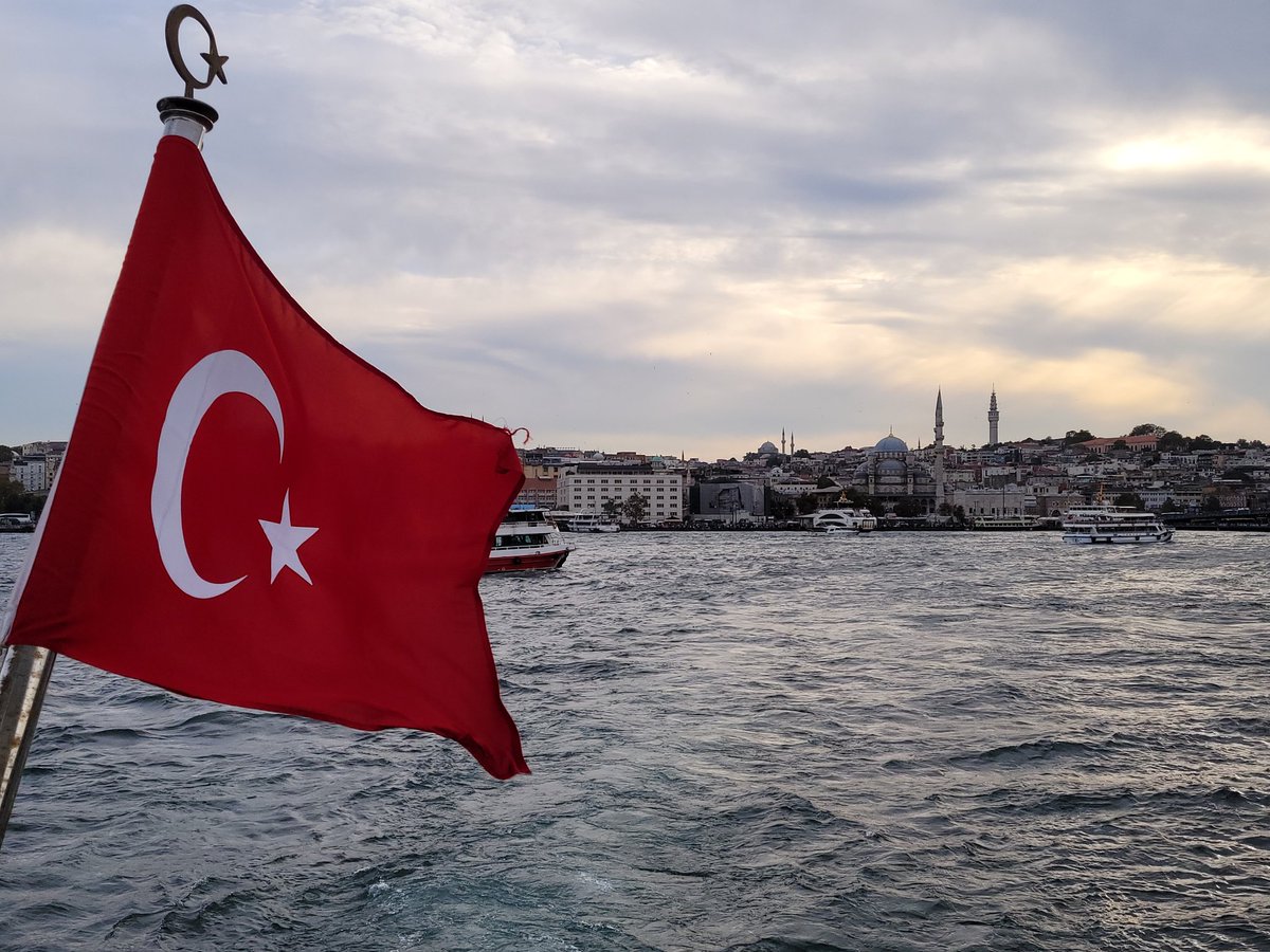 Human Nerve Ending tweet media