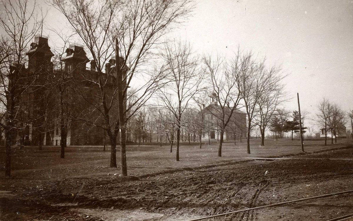 Meg Miner tweet media