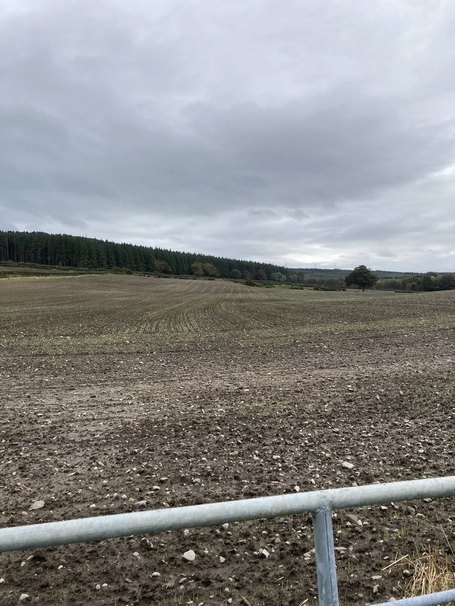 Lynsey Evans tweet media