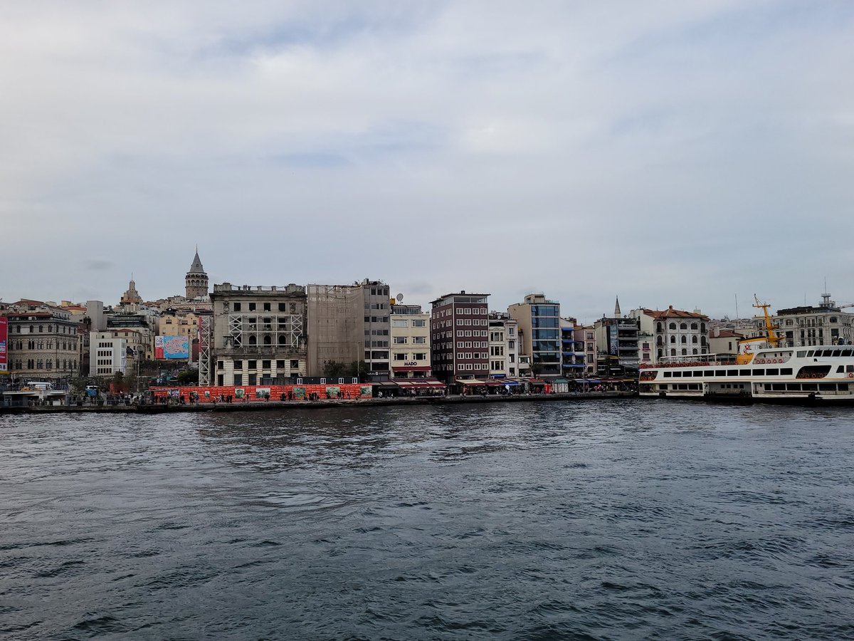 Human Nerve Ending tweet media