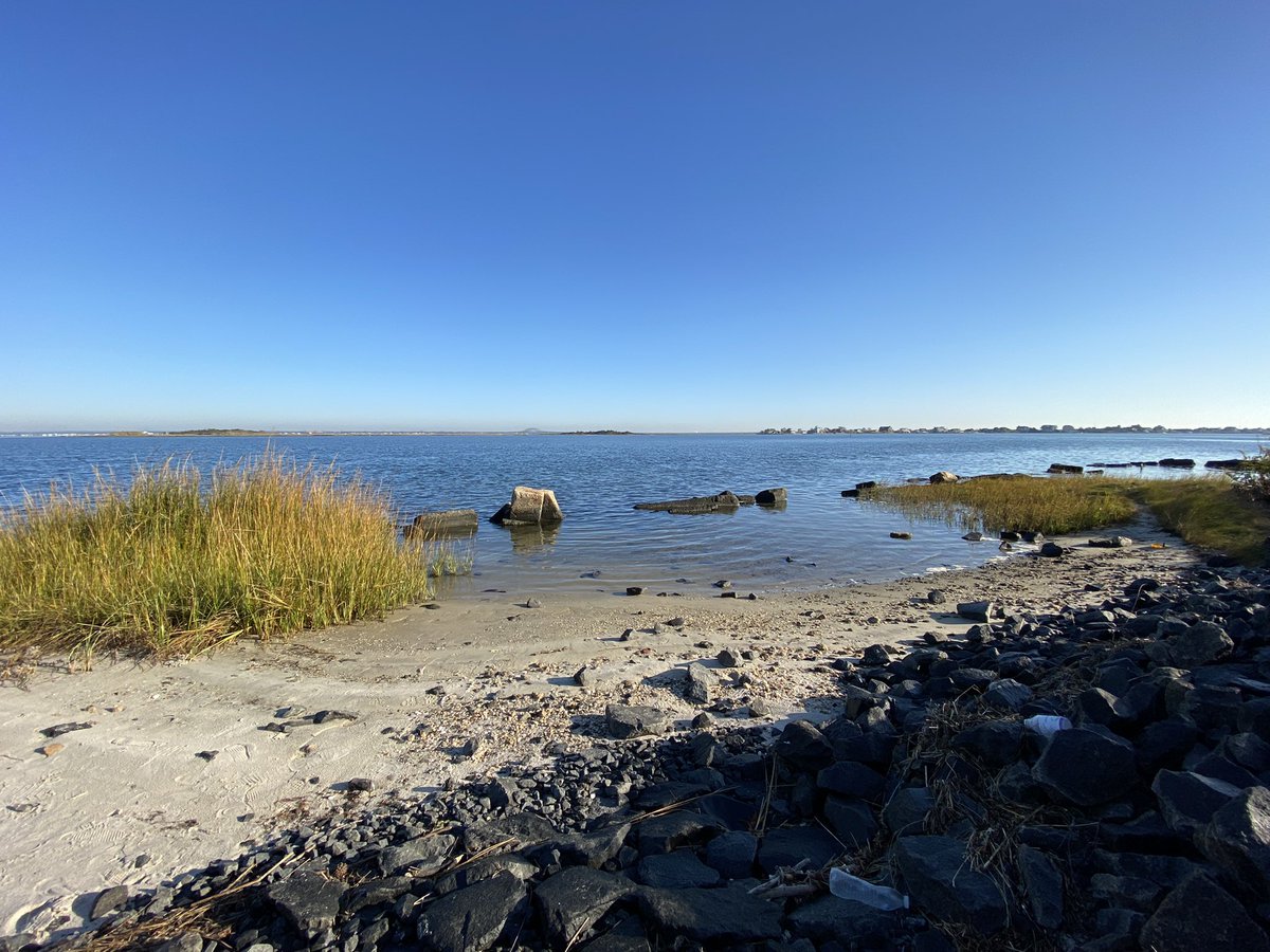 Ryan Schultz tweet media