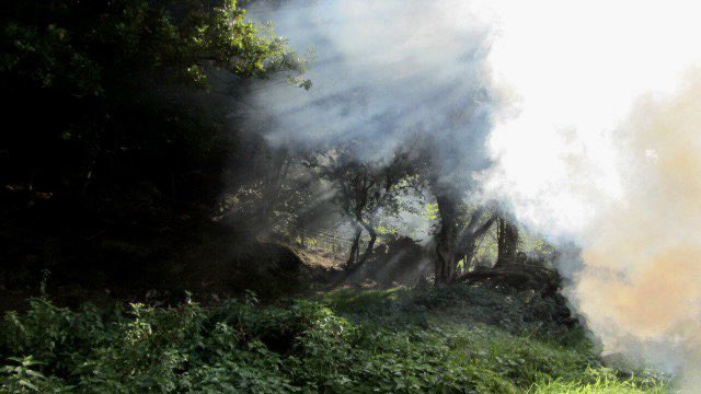 CuesJoey's tweet photo. Found this rather beautiful bonfire picture from a few years ago. The light shining through gives an almost ethereal effect
#twitterphotos #spotify #twitterfollowers #musicfollowers https://t.co/A3NLyHGhEd