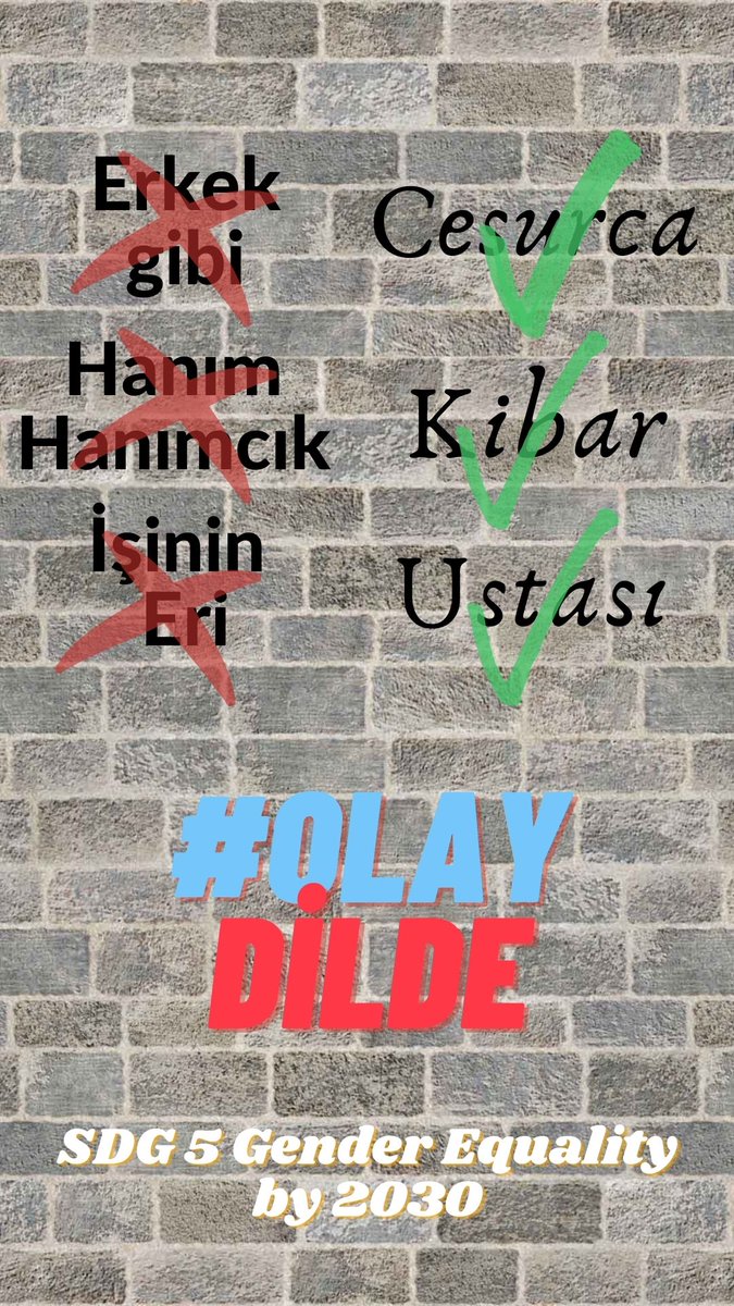 Sürdürülebilir Kalkınma Amaçlarının Yaygınlaştırılmasına Yönelik Bilinçlendirme ve Dijital İçerik Geliştirme Eğitiminin "Öğrendiklerimi Uyguluyorum" oturumunda katılımcımız Serdar BİÇER tarafından hazırlanan görsel..