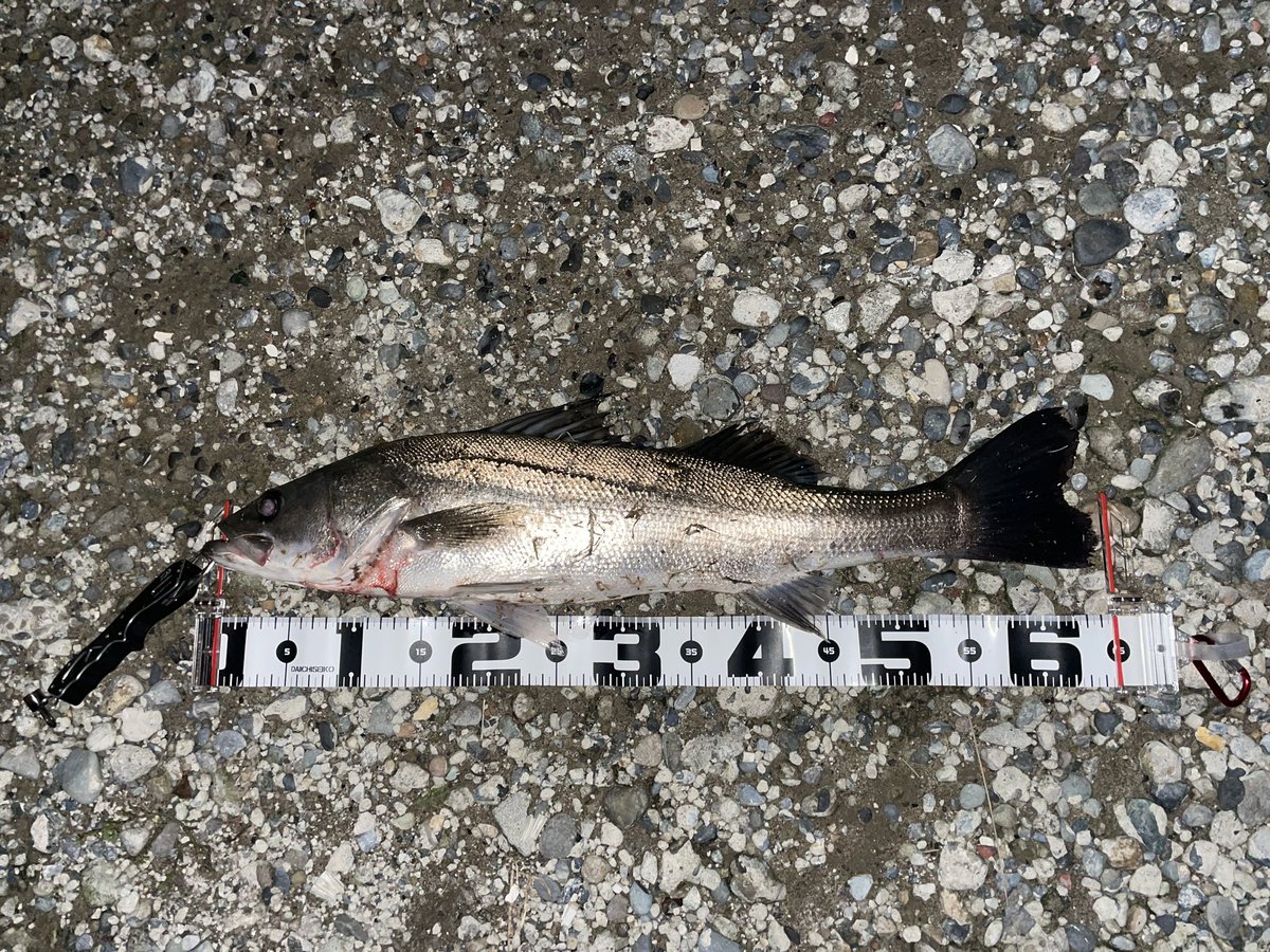 仕事終わりに、ありがとう。ありがとう。