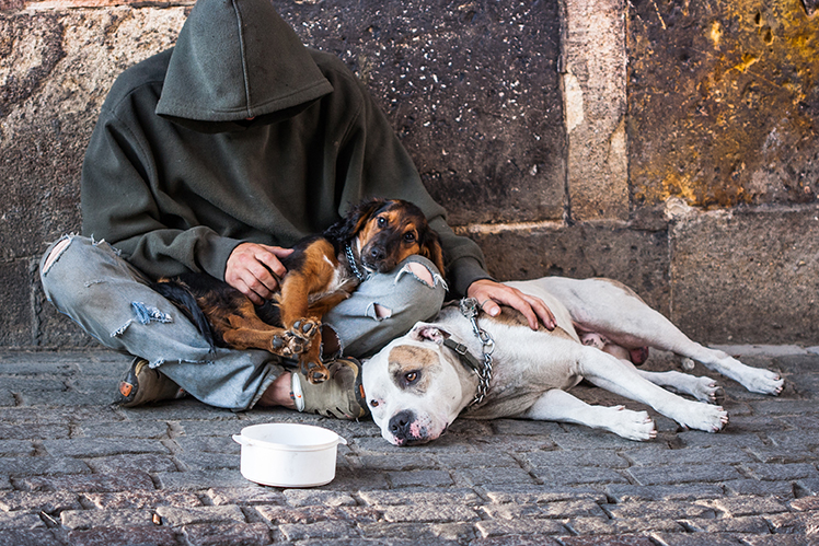 To tackle homelessness, Athens officials might look to Maryland group for answers
harfordcaa.org/to-tackle-home…

#Maryland #MD #Homeless #Homelessness #HomelessnessAwareness #HomelessnessPrevention #FindingHelp #Help #FindingShelter #HomelessShelter