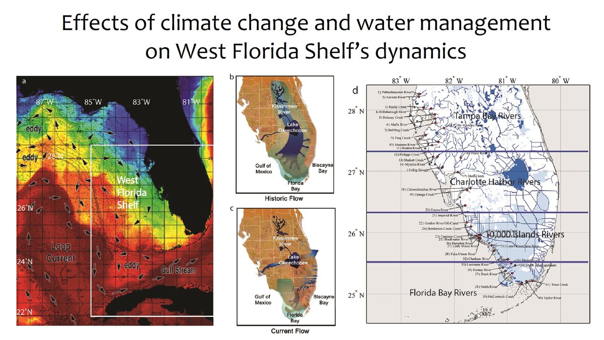 Bull Mar Sci (@bullmarsci) on Twitter photo Researchers evaluated the separate and combined effects of freshwater discharge management and climate warming by 1 °C on the Loop Current intrusions on the West Florida Shelf.
<a href="/FIUCASE/">FIU College of Arts, Sciences & Education</a> <a href="/FIUEnvironment/">FIU Institute of Environment</a> <a href="/fcelter/">FCE LTER</a> <a href="/HarborBranch/">Florida Atlantic Harbor Branch</a> <a href="/FAUResearch/">Florida Atlantic Research</a> #Florida #eddy
doi.org/10.5343/bms.20… Researchers evaluated the separate and combined effects of freshwater discharge management and climate warming by 1 °C on the Loop Current intrusions on the West Florida Shelf.
<a href="/FIUCASE/">FIU College of Arts, Sciences & Education</a> <a href="/FIUEnvironment/">FIU Institute of Environment</a> <a href="/fcelter/">FCE LTER</a> <a href="/HarborBranch/">Florida Atlantic Harbor Branch</a> <a href="/FAUResearch/">Florida Atlantic Research</a> #Florida #eddy
doi.org/10.5343/bms.20…