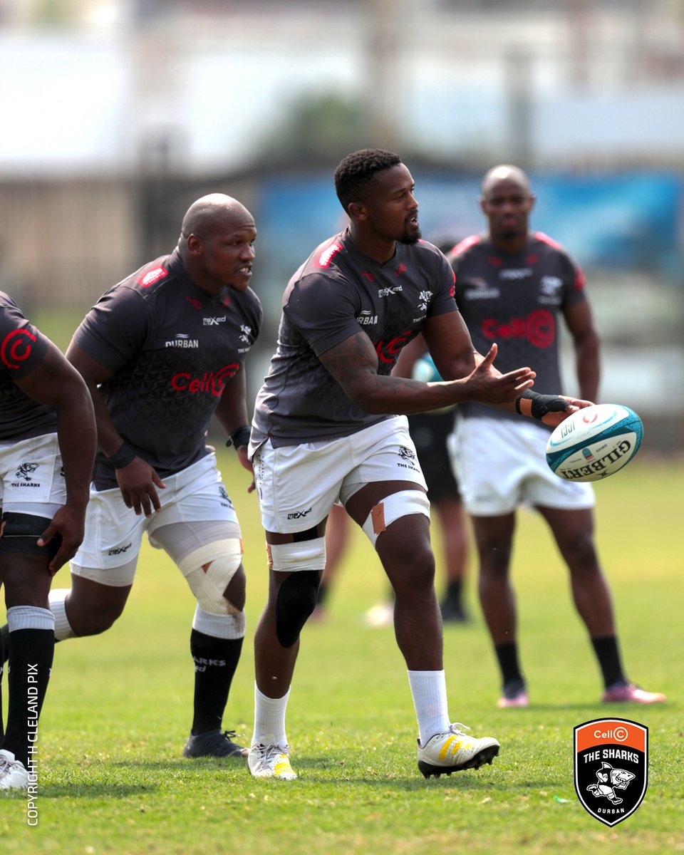 Focused 🎯

#FearTheFin