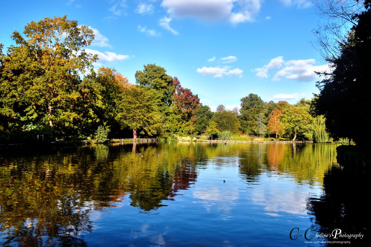 colcas57's tweet photo. Got out for a nice walk in the autumn sun yesterday afternoon at Beddington Park , Wallington, Surrey (10-10-2022)
Nice to see the start of the autumn colours.

1 of 2 https://t.co/PtHc5me3g1