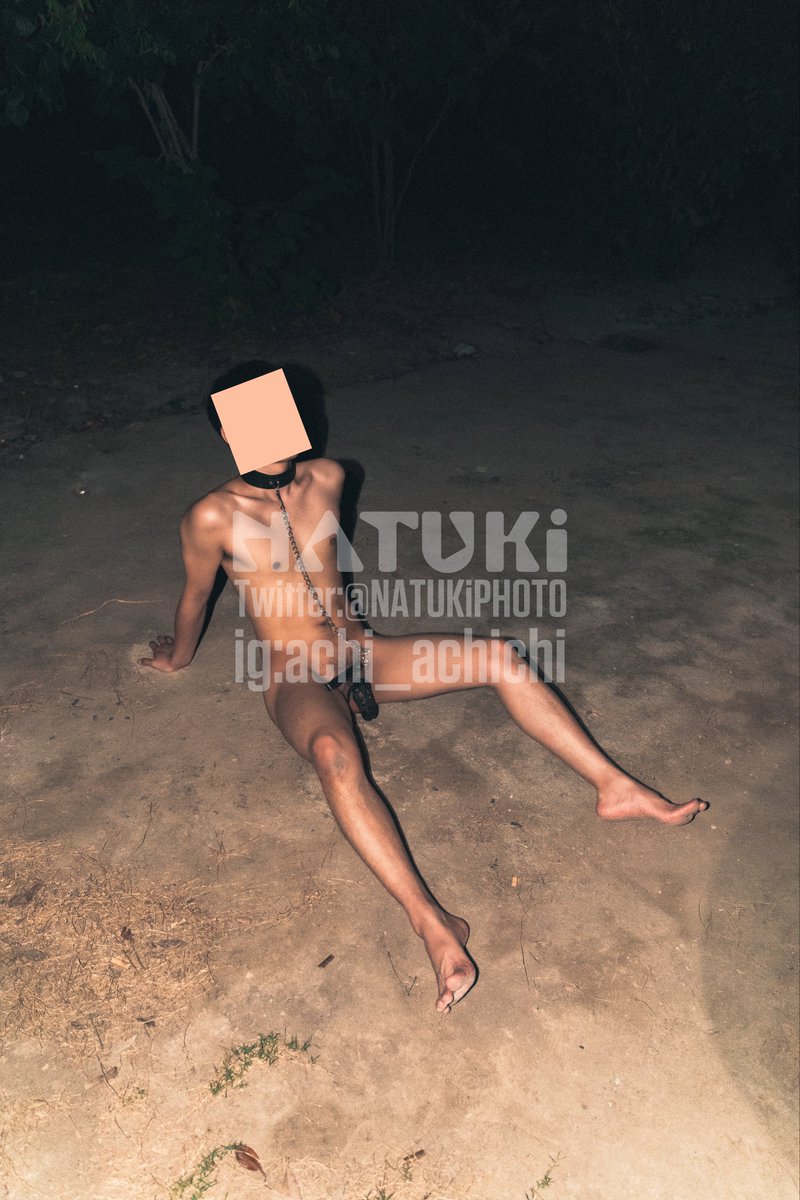 NATUKɪ̆̈PHOTO tweet media