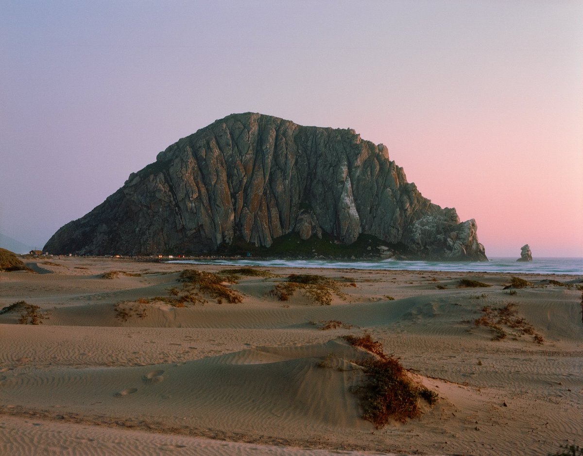takeuchifilm's tweet photo. Pictures I took in California on medium format film https://t.co/Gcn7U0U64t