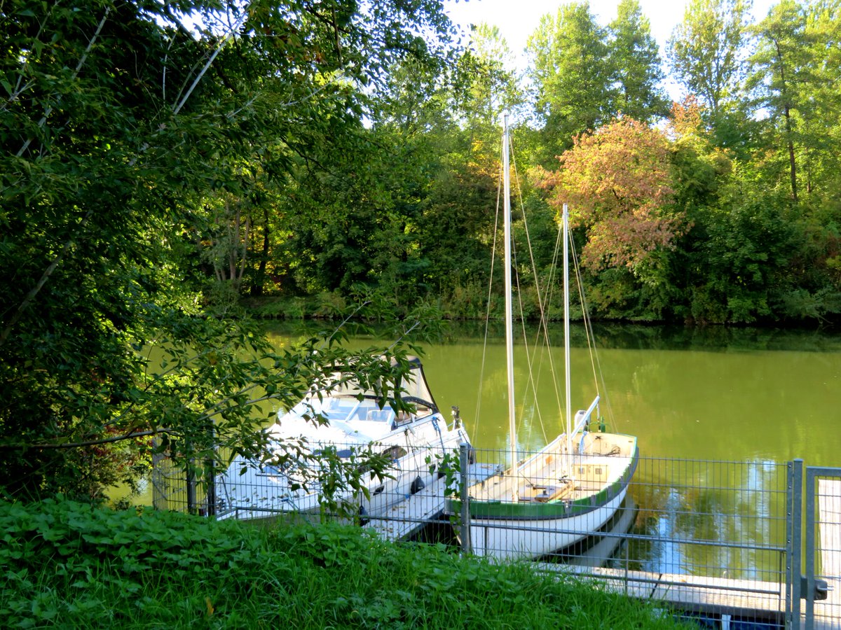 marathomy's tweet photo. #Wanderung auf der #Schleuseninsel bei #Forchheim am 30.09.2022
#Herbst #Bäume #Laub
#Wasser #Kanal #Fluss #Regnitz #RMDKanal #RheinMainDonauKanal
#Früchte #Herbstfrüchte
#Schiffe #Boote #Schifffahrt
#Pilze
#BaumUmarmen https://t.co/vhcDOmb6lD