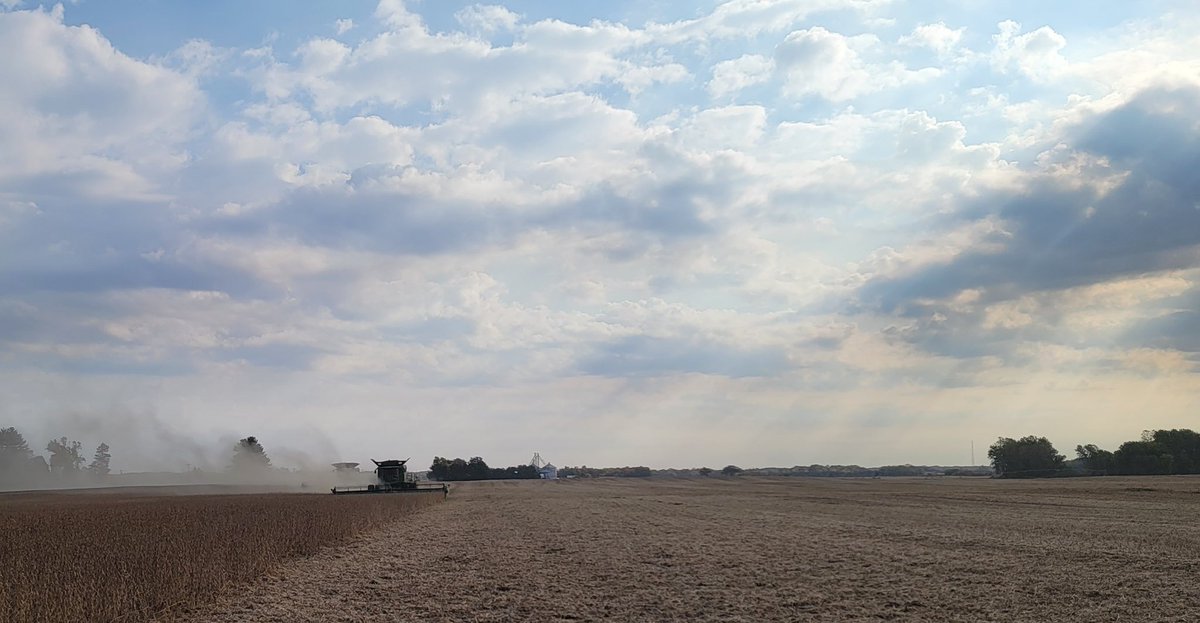 Beautiful morning! #harvest22