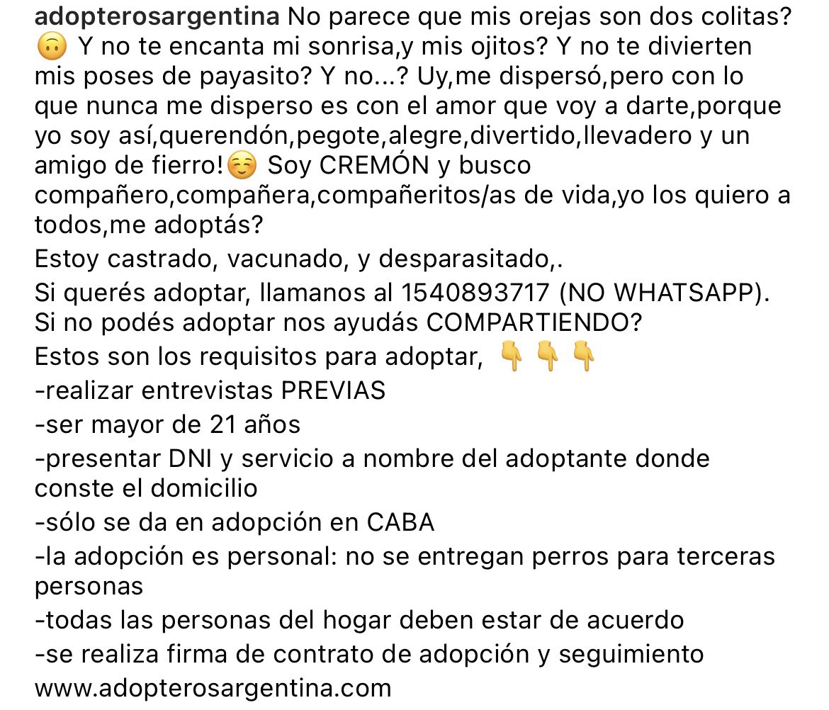 adopteros_arg's tweet photo. 🎉 CREMÓN busca a su adopter@ para siempre! 🎉

Llamanos al 1540893717 para adoptar 🐾

#adopterosargentina #AdoptaNoCompres #AdopcionResponsable https://t.co/phMIcVs5WT