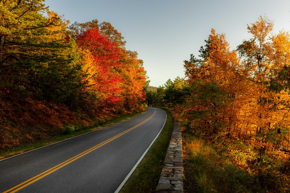 forecaster25's tweet photo. Vibrant autumn colors along Skyline Drive last evening. The reds are especially beautiful this year! 🍁 https://t.co/nhiBGlwY0o