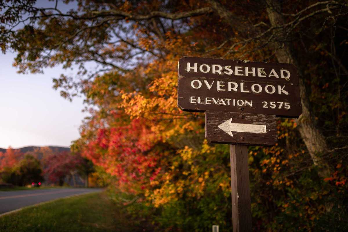 forecaster25's tweet photo. Vibrant autumn colors along Skyline Drive last evening. The reds are especially beautiful this year! 🍁 https://t.co/nhiBGlwY0o