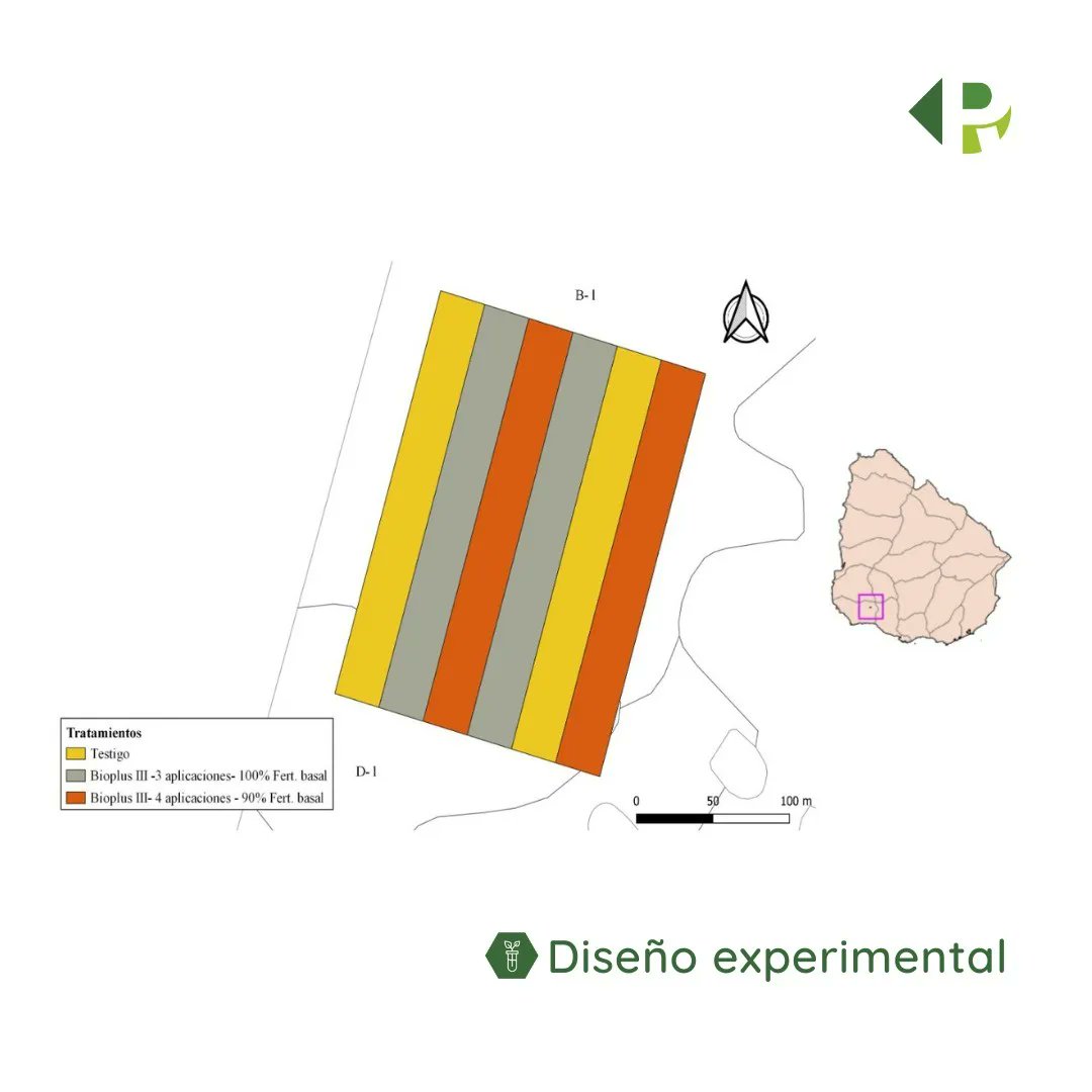 Pro_NutritionAg's tweet photo. Seguimos evaluando la respuesta del cultivo de cebada a la aplicación de BioPlus III en distintos momentos del ciclo. 
🌱En esta oportunidad realizamos la primera aplicación en estado reproductivo para la empresa #biogro
📍Colonia del Sacramento https://t.co/fpnTi5H4jF