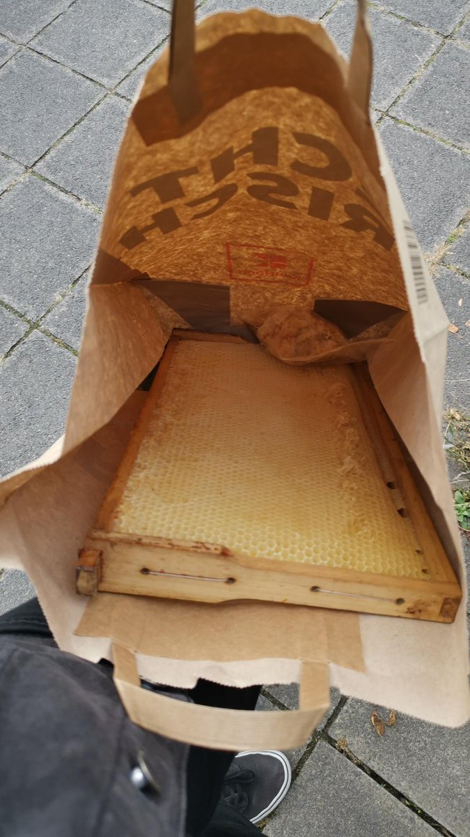 FoodSafetyQual's tweet photo. When you ask for for a bit of beeswax for analysis but the beekeeper feels generous🐝🍯 https://t.co/zUJx8bT7z2