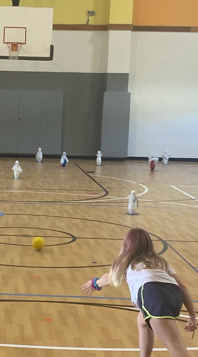 DSE_Essentials tweet media