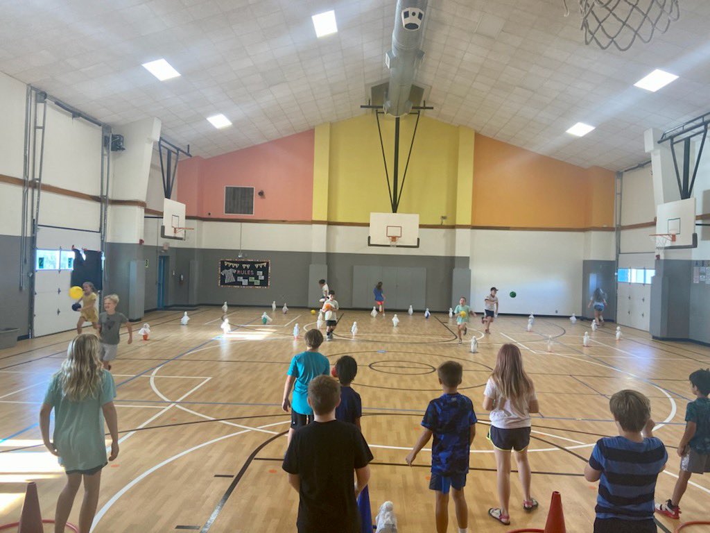 DSE_Essentials tweet media