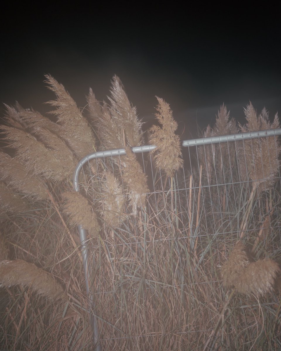 Dream sequence 🛏

1/7