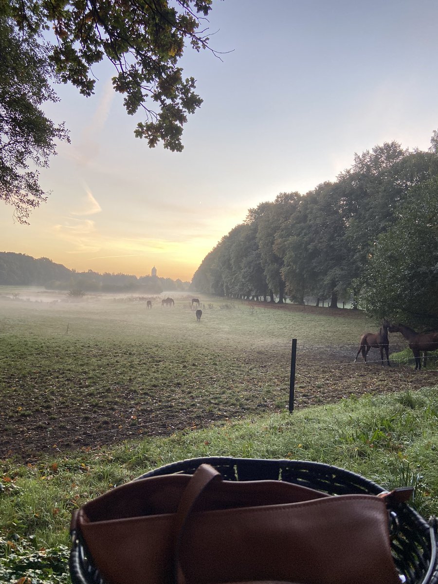 belden_trixi's tweet photo. Frau Kruse hatte heute den schönsten Schulweg der Welt. 🥰

#schulleitung
#schulweg
#erstesmalfahrradnachunfall
#herbst🍁
#hasetal https://t.co/KFx2XWhqNh