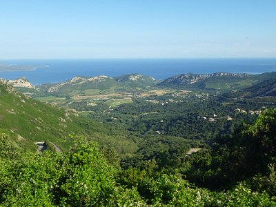 The 1st field demonstration of our project is taking place on 19-20 October 2022 at the French pilot site in Corsica where several activities are planned. 

We can't wait to welcome local &amp; international stakeholders for this important event!👉safers-project.eu/index.php/diss…
#forestfires