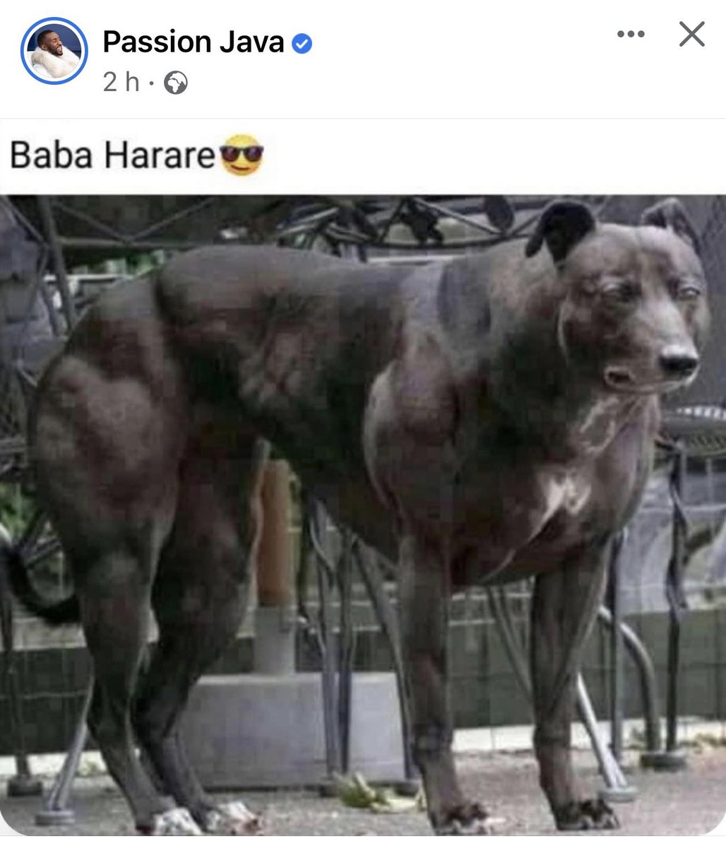 LynneStactia's tweet image. RETWEET &amp;amp; Like for @BabaHarare1 &amp;amp; leave a comment for Passion Java