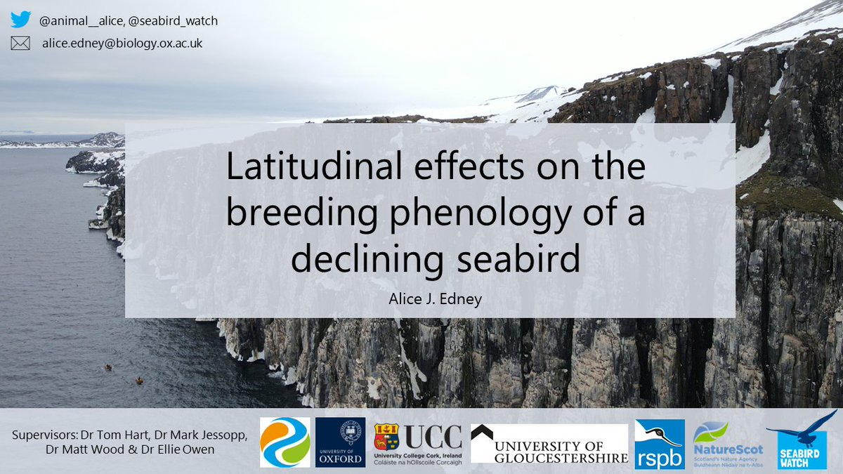 1/6 #BOUASM22 #SESH3

Monitoring nest success & #phenology is important for #seabird conservation, but many live in remote areas that are hard & expensive to reach. We use a time-lapse camera network to monitor kittiwakes across their range.

Background ➡️ doi.org/10.1111/ibi.12…