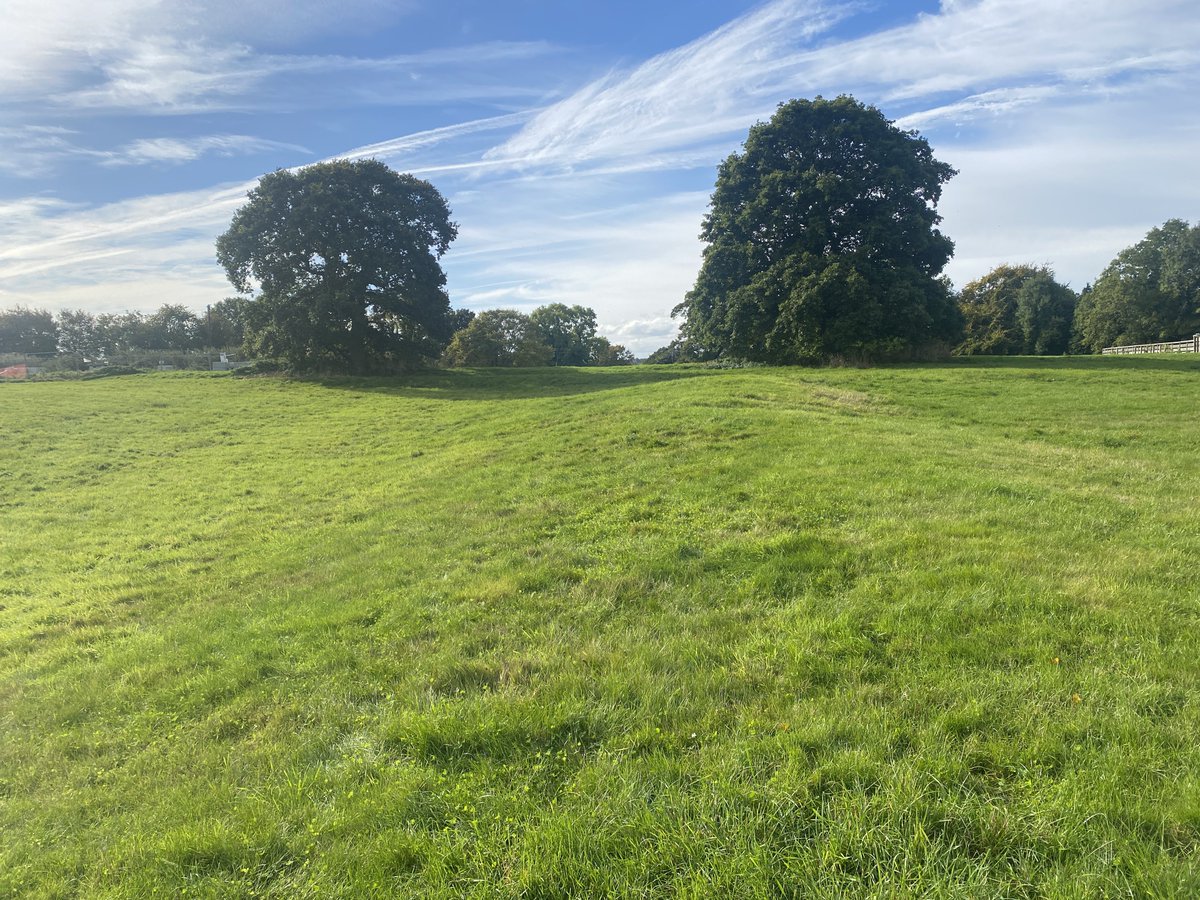 pete_savin's tweet photo. A nice bit of Roman rampart and ditch #Binchester #DereStreet https://t.co/KGwc7oG4iK