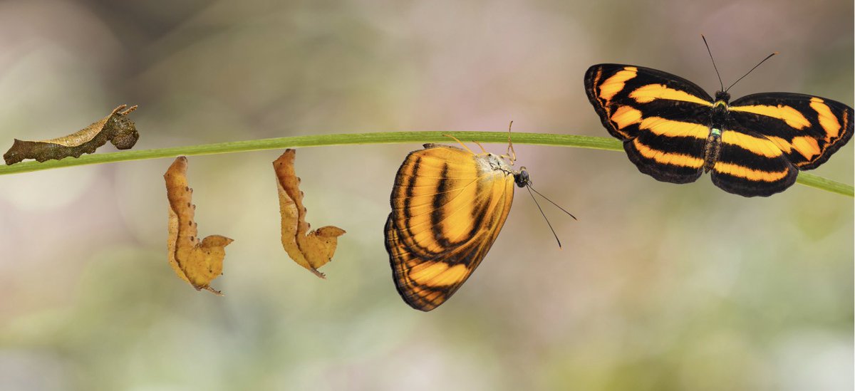 La vida és com vivim allò que ens passa. 

Un taller on mirem de cara la finitud de la vida i explorem què podem aprendre de les persones que han travessat el final de la seva vida sobre com podem viure els canvis que ens porta la nostra.

👉 Inscripcions: bit.ly/3yxlVps