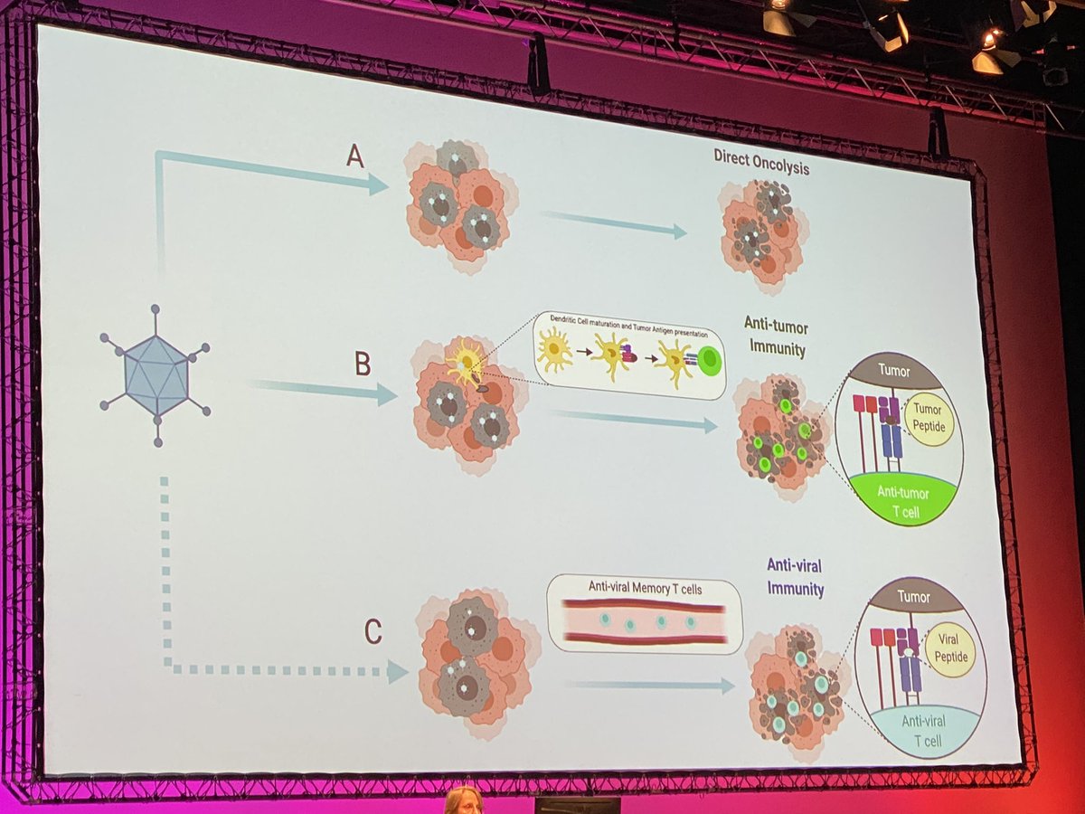 michael_duerr's tweet image. Great educative talk on oncolytic viruses and platforms towards new immuntherapies for cancer patients by @vincersurf #ESGCT2022