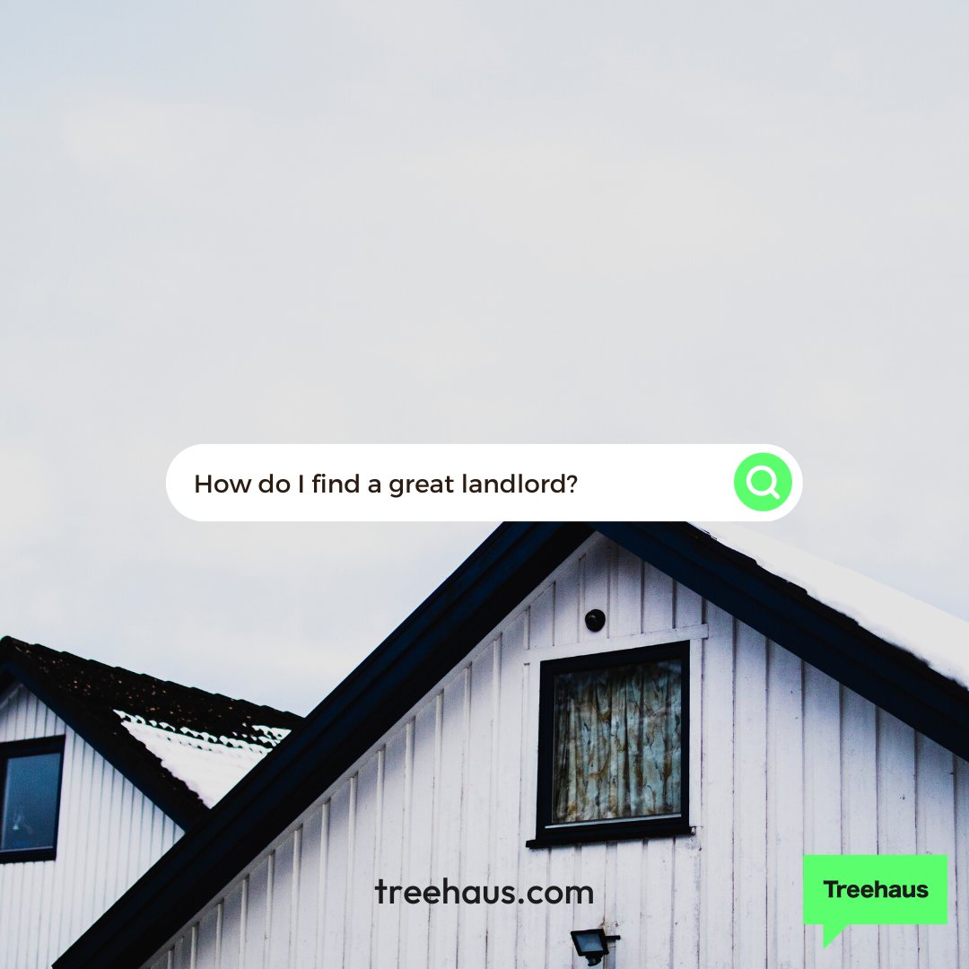 Treehausreviews's tweet photo. We speak a lot about good landlords here but how do you actually find a good one?
Did you know you can search reviews on landlords before you rent on our website?
Problem solved! 🌳🏠

#ukproperties #londonrent #lettingagent #righttorent #ukliving #rentaltips  #studenthousing https://t.co/KQkFQcms0G