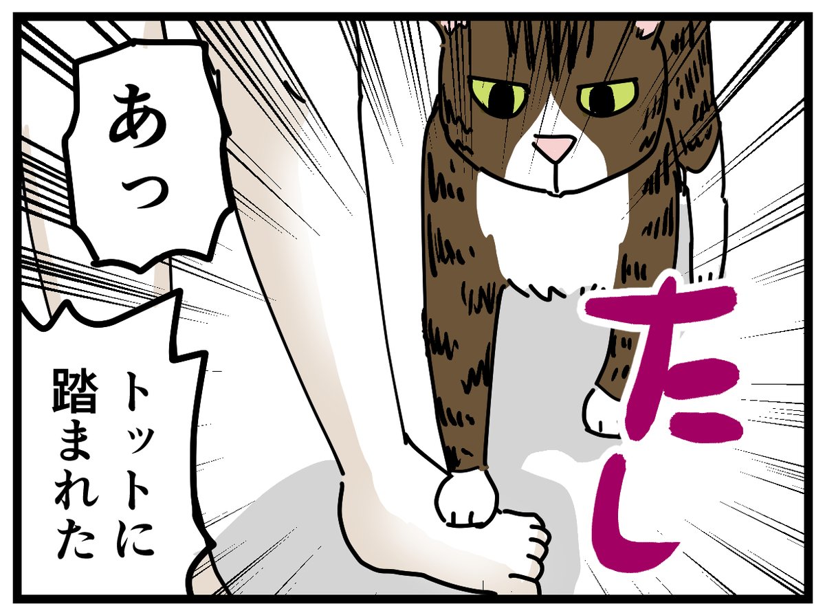 7歳で猫の下僕になった娘
#猫漫画 #育児漫画 