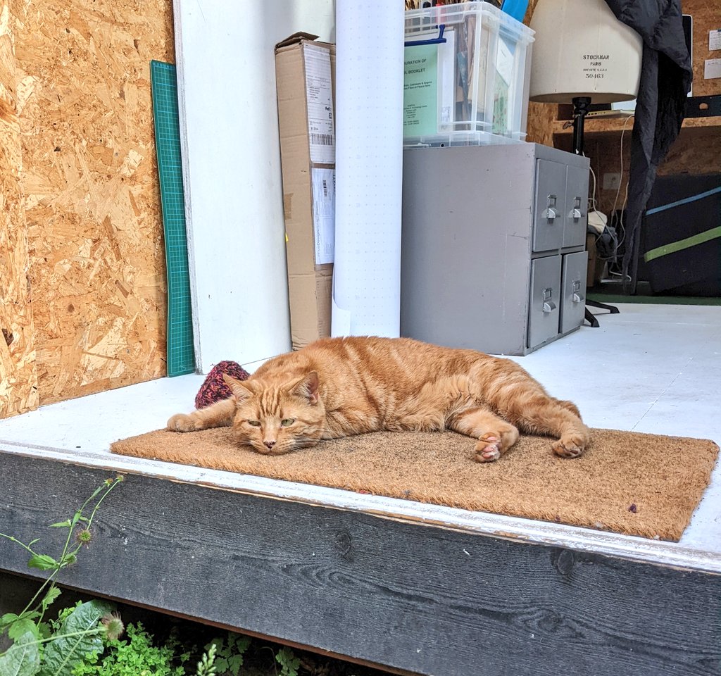 Current mood #CatsofTwittter