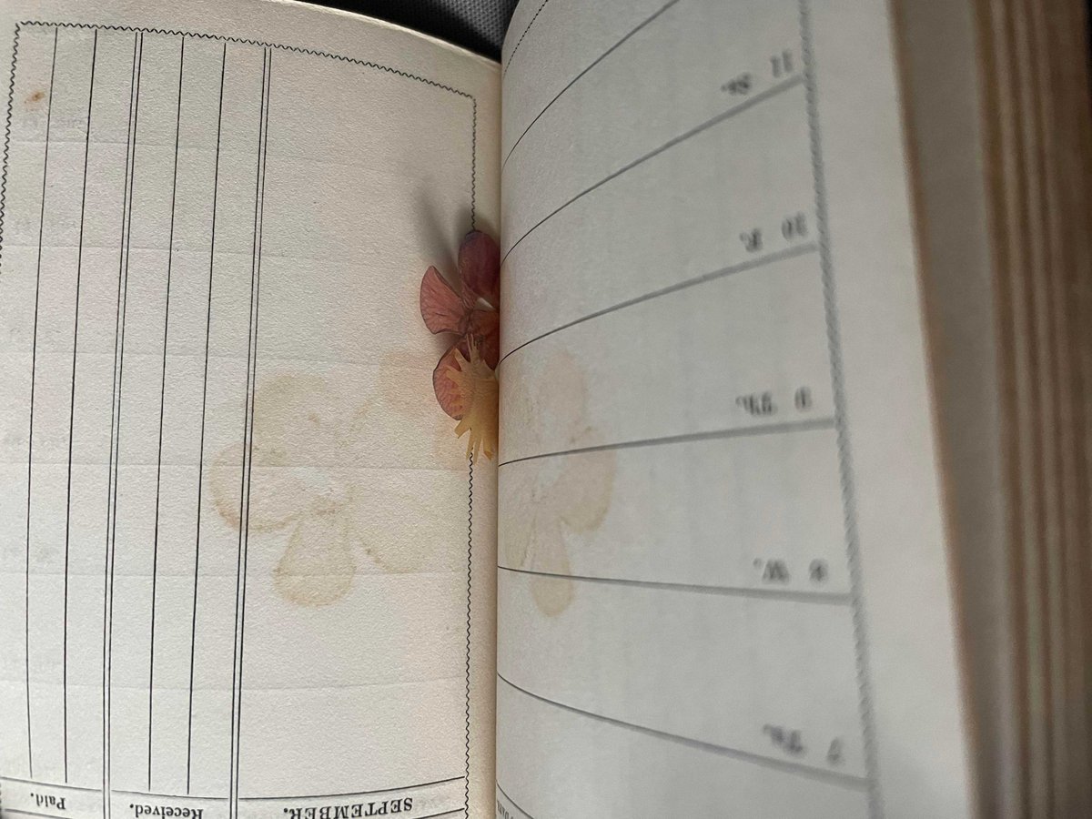NLIreland's tweet photo. We recently acquired this #pocketdiary of Elizabeth Wrixen Jones, 1841-1870. This unassuming little #diary becomes really interesting the more you examine it. 📖 The little pocket in the front cover contains 27 loose #keepsakes, including a memorial card for her mother. https://t.co/N0TQMA1Dcj