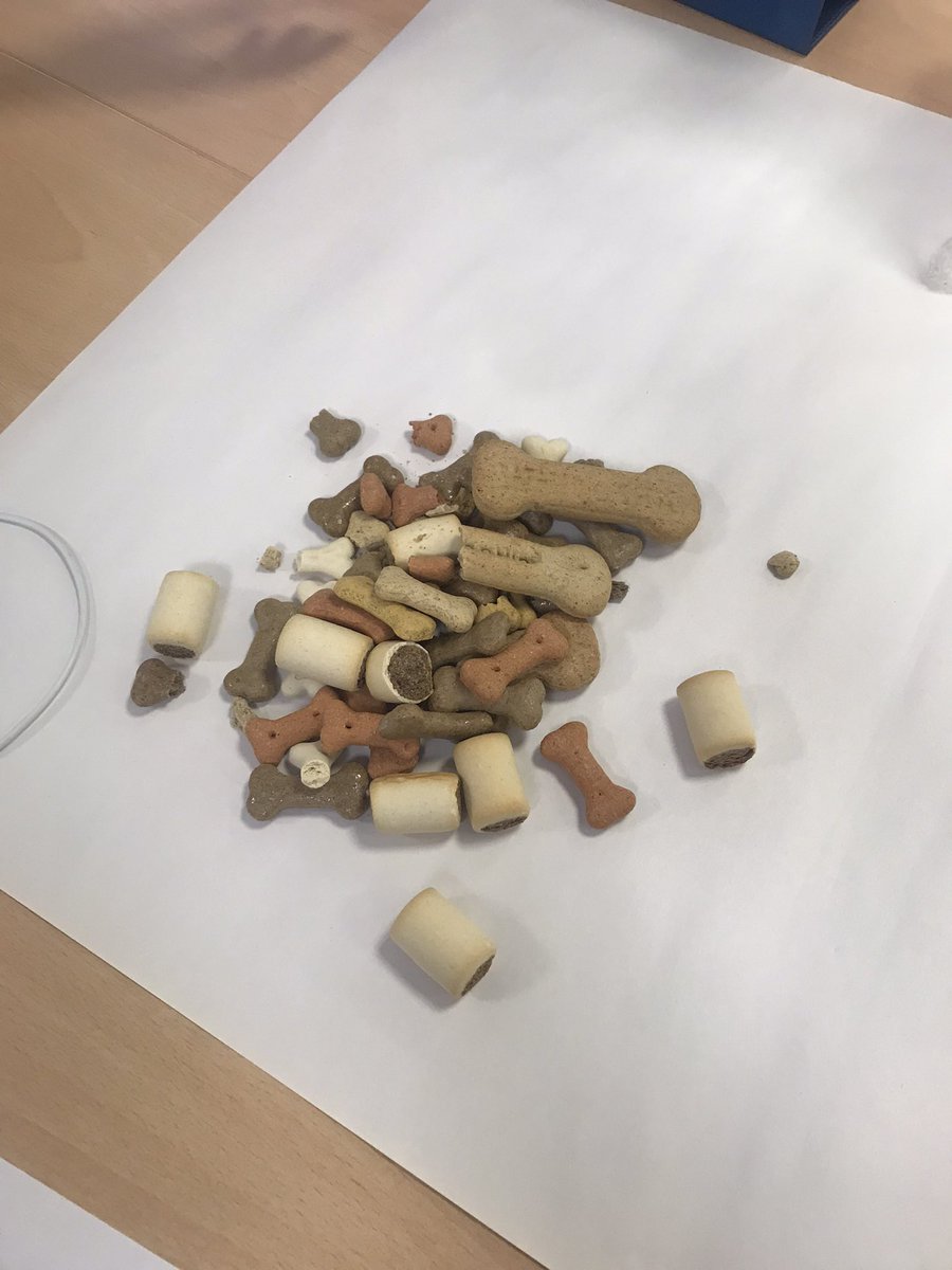MRPA_Science's tweet photo. What do you think we��ll be making? #ELTScience https://t.co/CmGdhbgxvp