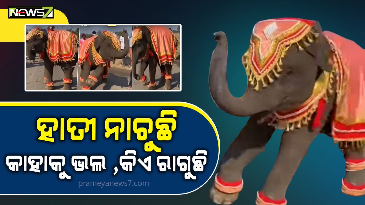 NEWS7Odia's tweet photo. ନାଚୁଛି ହାତୀ, ଲୋକେ କିନ୍ତୁ ନାହାନ୍ତି ଖୁସି; କହିଲେ ମଣିଷ ପେଟ ପାଇଁ ଜୀବଜନ୍ତୁଙ୍କୁ ଦେଉଛି କଷ୍ଟ । ଏଥିରେ ଆପଣଙ୍କ ମତ କ'ଣ?
Video Link: https://t.co/ku9gkSuAZi
#ViralVideo #DancingElephant #ElephantVideo #Animal #SpecialStory #PrameyaNews7 #News7Odia https://t.co/s8sm0MbXsW