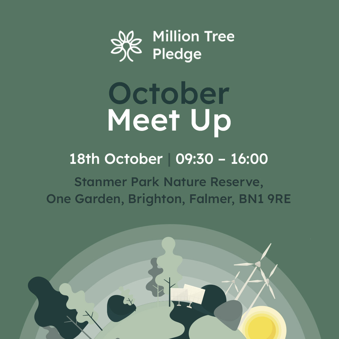 We're having our very first in-person meetup for the Million Tree Pledge in sunny Brighton and everyone is welcome!!  

Grab your ticket while you still can: eventbrite.co.uk/e/million-tree…

#MTP #Sustainability #brighton #trees #enviroment #sustainable #milliontreepledge