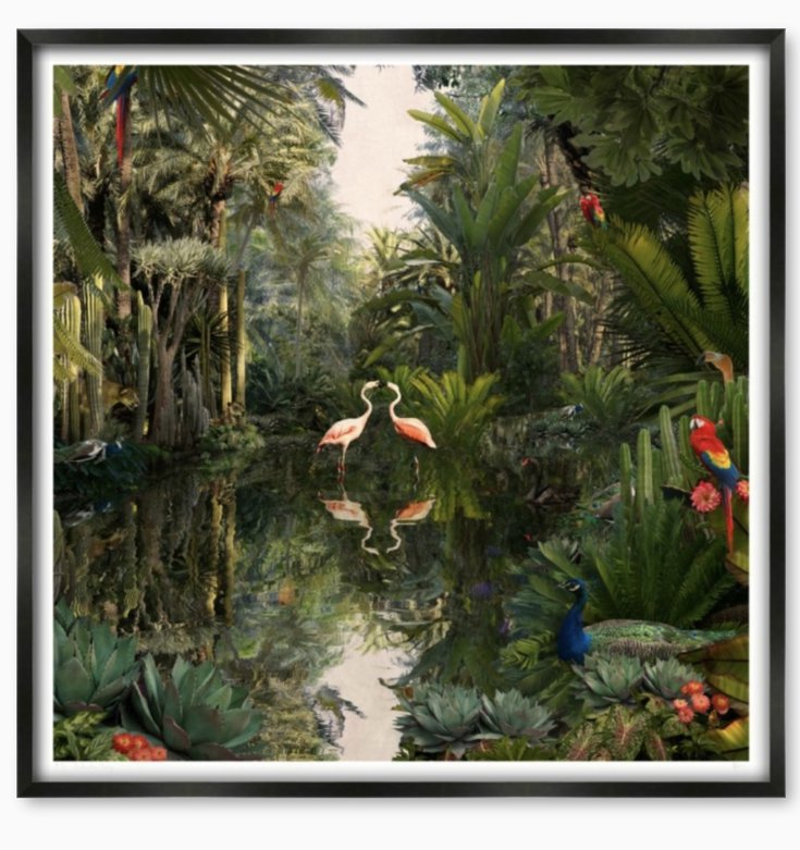 Backwaters Springs … by <a href="/NadiaAttura/">Nadia Attura</a> #colour #photo #art artfinder.com/product/backwa… <a href="/artfinder/">Artfinder</a>