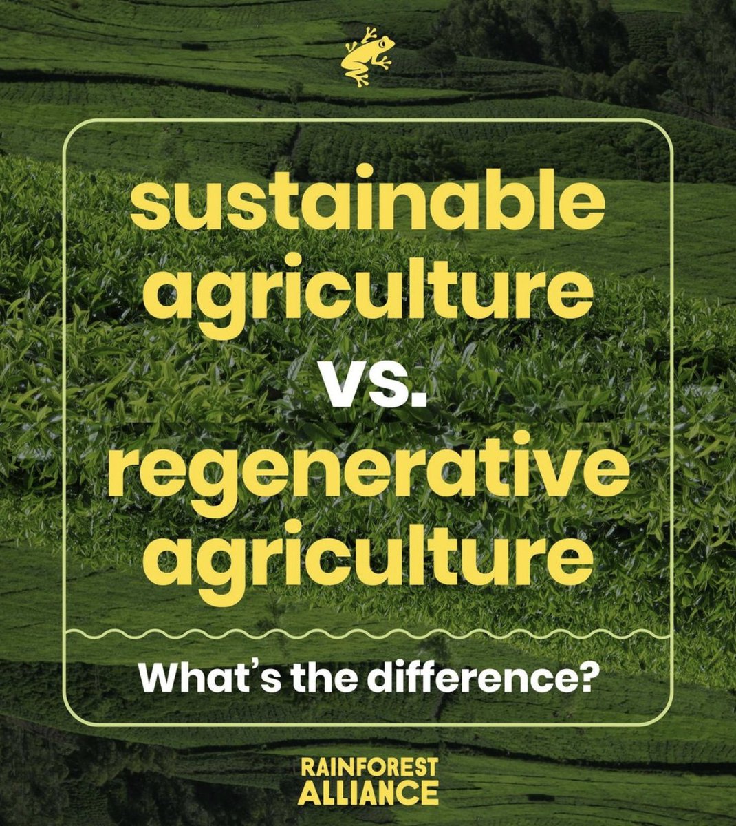 We believe #sustainability is a journey and #regeneration is the destination.

#Sustainablefarming is a harm-reduction approach that *adds* to nature’s richness. When measures to enrich the land are applied on all fronts, you have yourself a #regenerativefarm. 💚