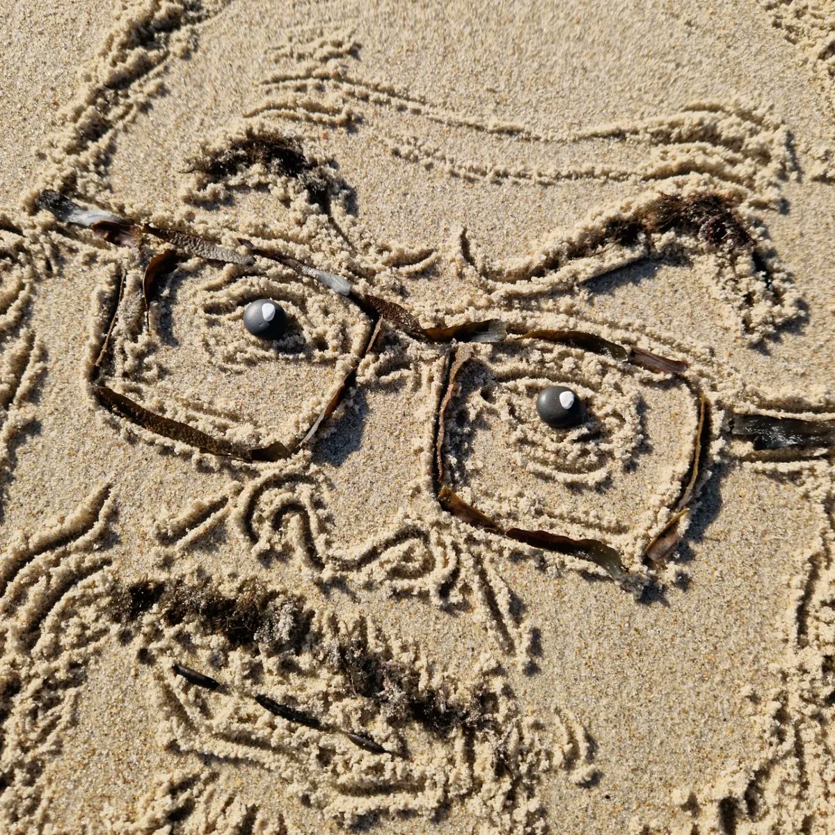 DigiDaughter's tweet image. @taskmaster #TheTaskmaster @GregDavies #AlexHorne
💛 #Covid2022 #Lockdown2021 #morale #VitaminSea 🌊🌊🌊 #DuneToons #Lockdown2020 #comics #cartoons ✍️ #SandBanksy #shorelinesally Character No.1729